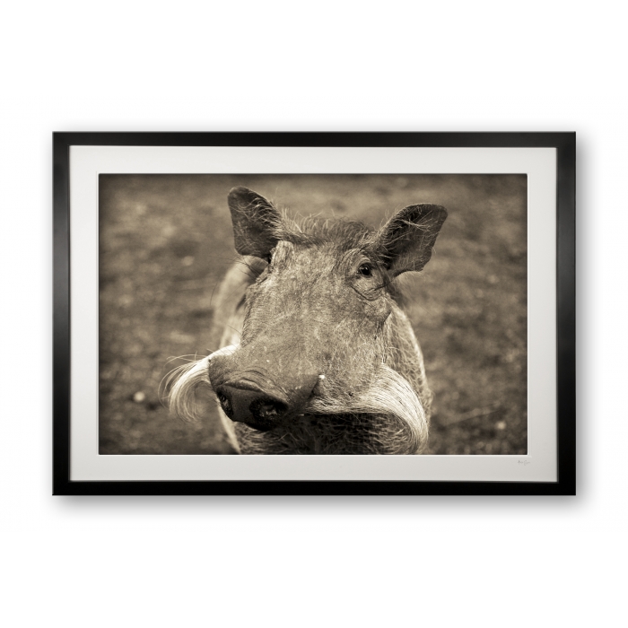 00044_pumba_cubix_frame