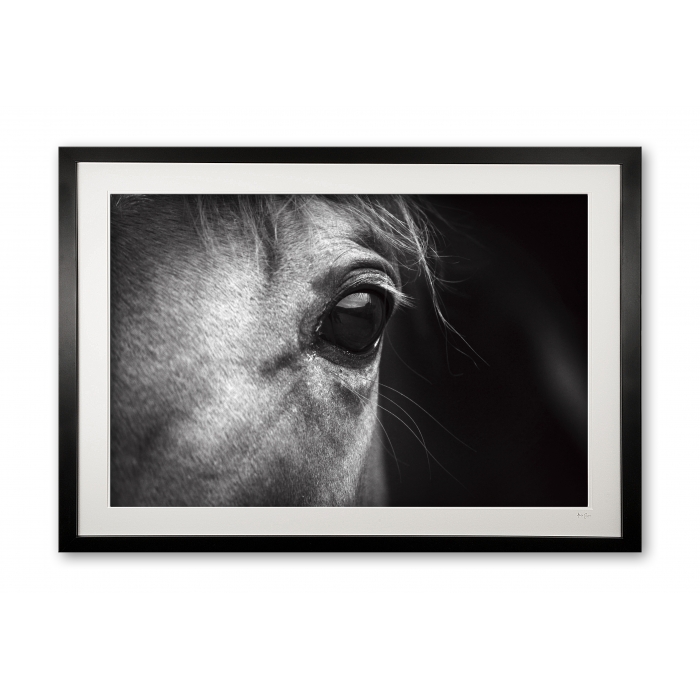 048_v__epsom_racehorse_detaile56g7936_1bw_framed