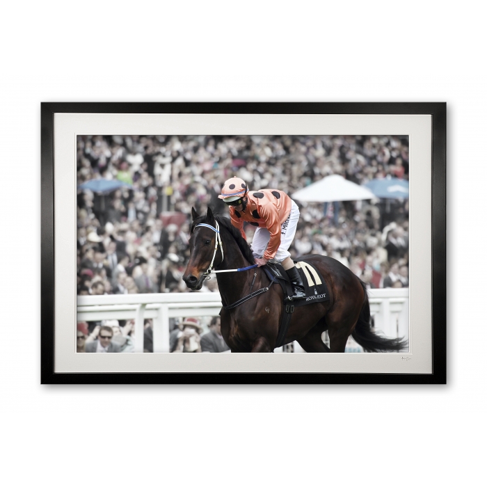 048_n__black_caviar_i_e56g8654_fade_framed