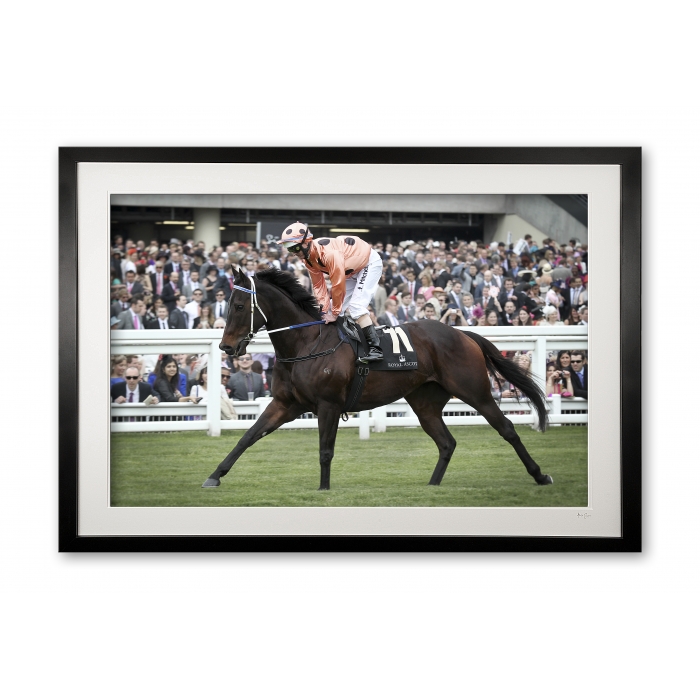 048_o_black_caviar_ii_e56g8662_fade_special_edition_of_25_framed