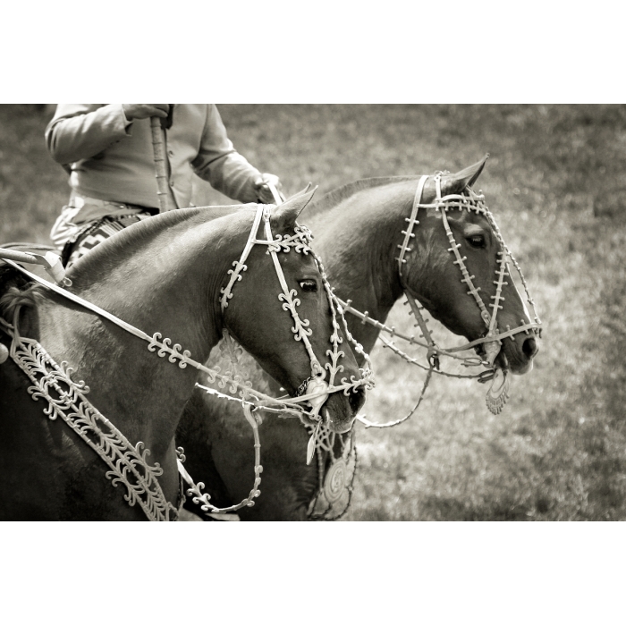 107__rawhide_bridles_e56g6890_4b-export