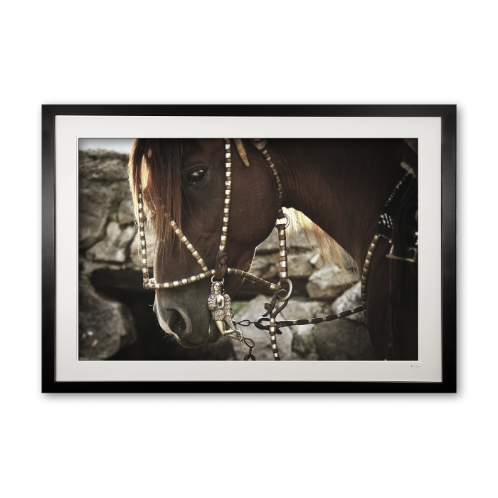 083__supermario_e56g9717_framed