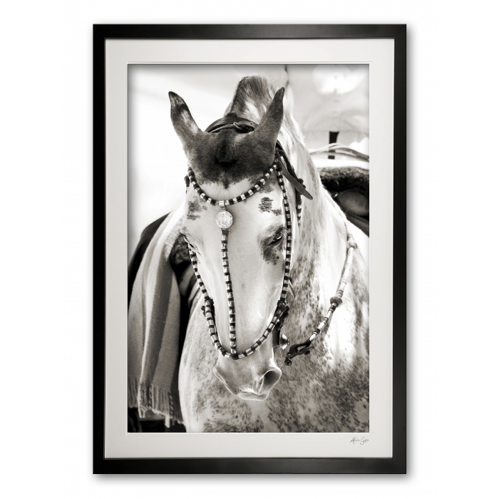 117_a__festival_finery_iv_e56g0001_sepia_framed